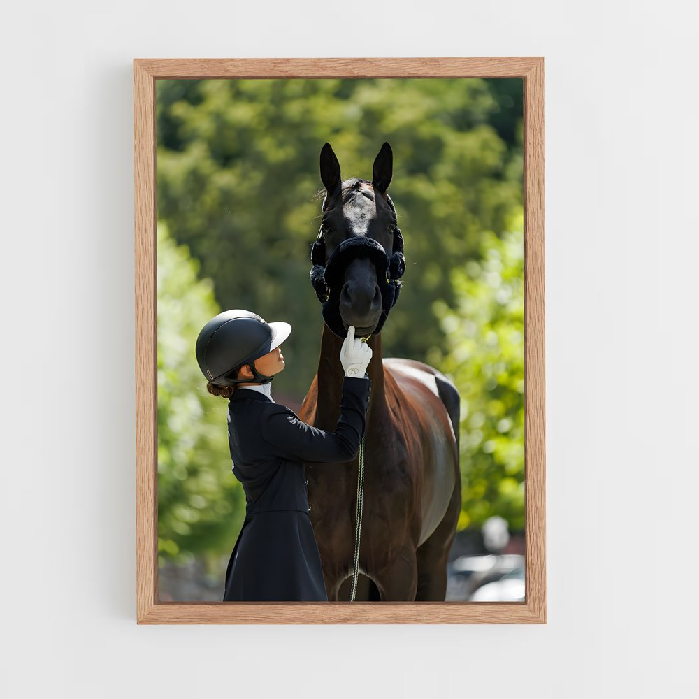 Poster Équitation Classe (vue 4)