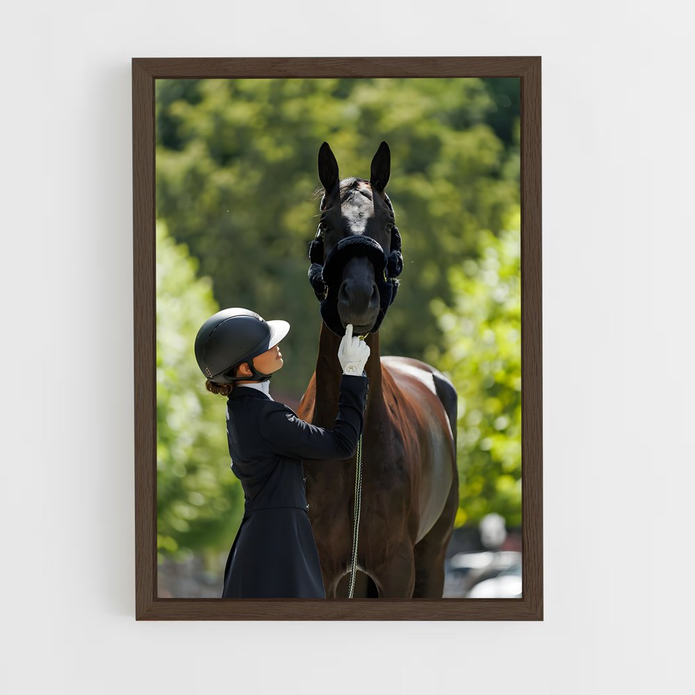 Poster Équitation Classe (vue 5)