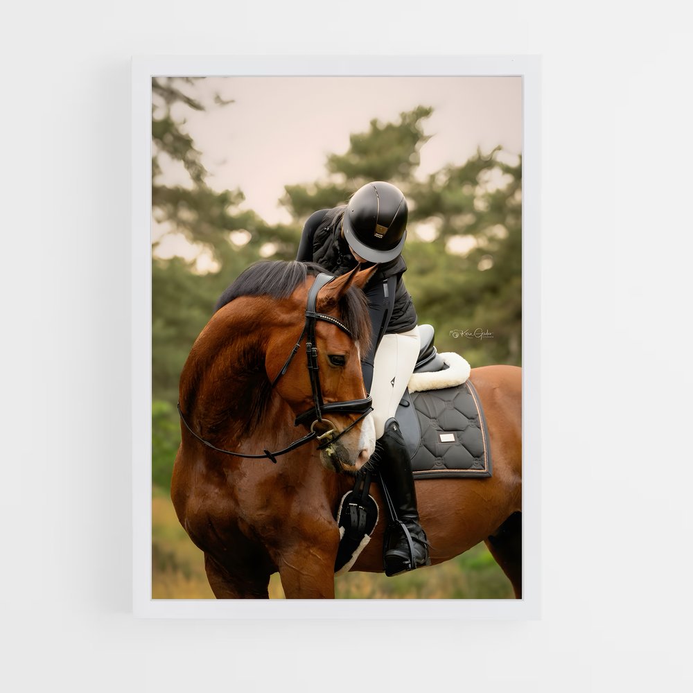 Poster Équitation Jument (vue 3)