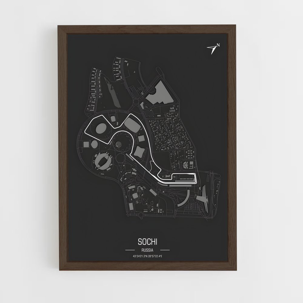 Poster Circuit Sochi (vue 5)