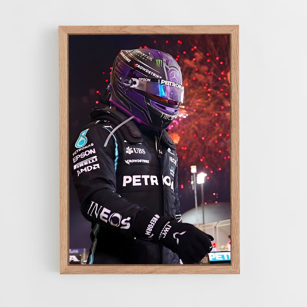 Poster Hamilton (vue 4)