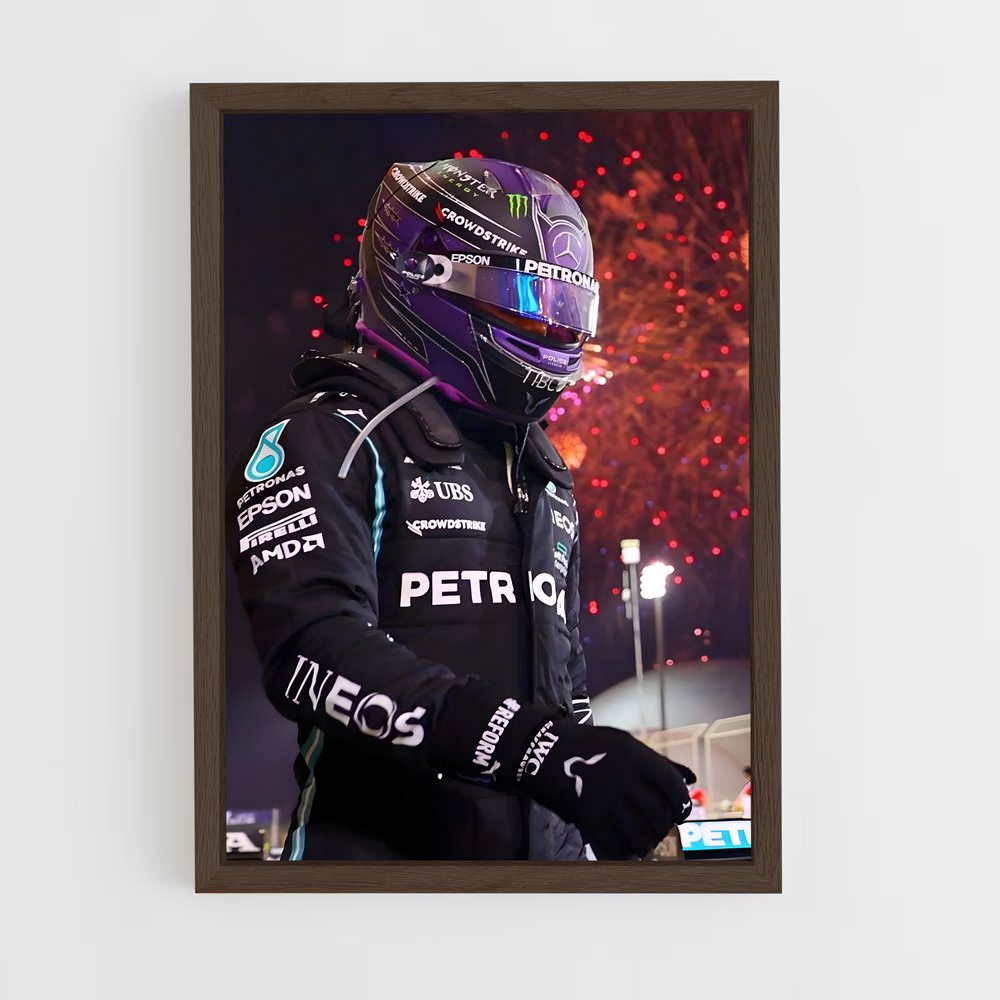 Poster Hamilton (vue 5)