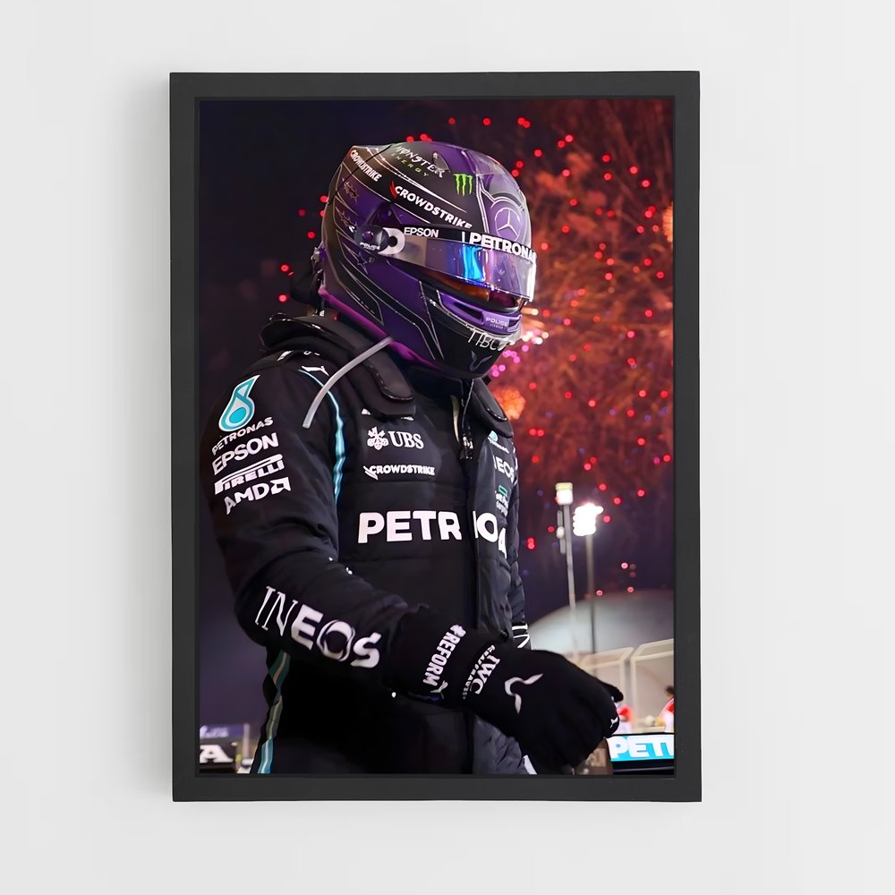 Poster Hamilton (vue 2)