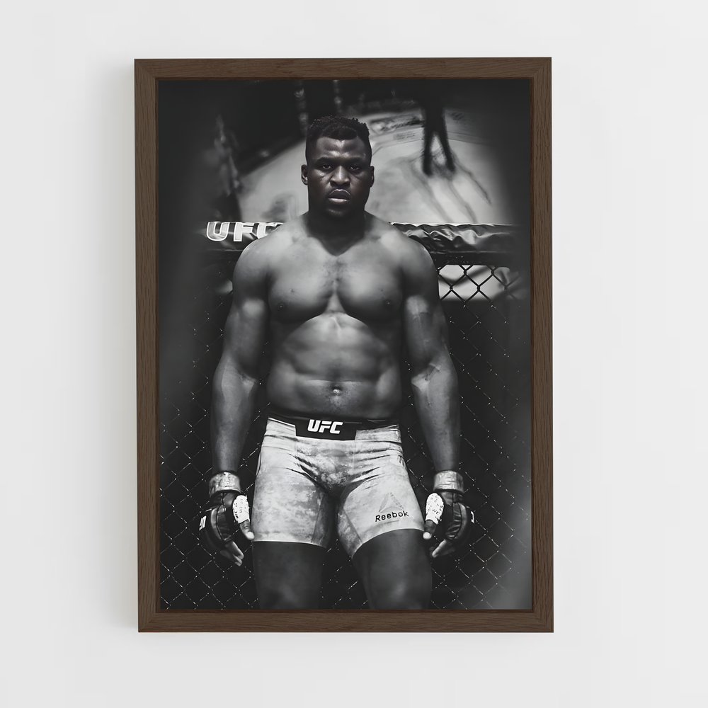 Poster Puissance Résolue – affiche MMA (vue 5)
