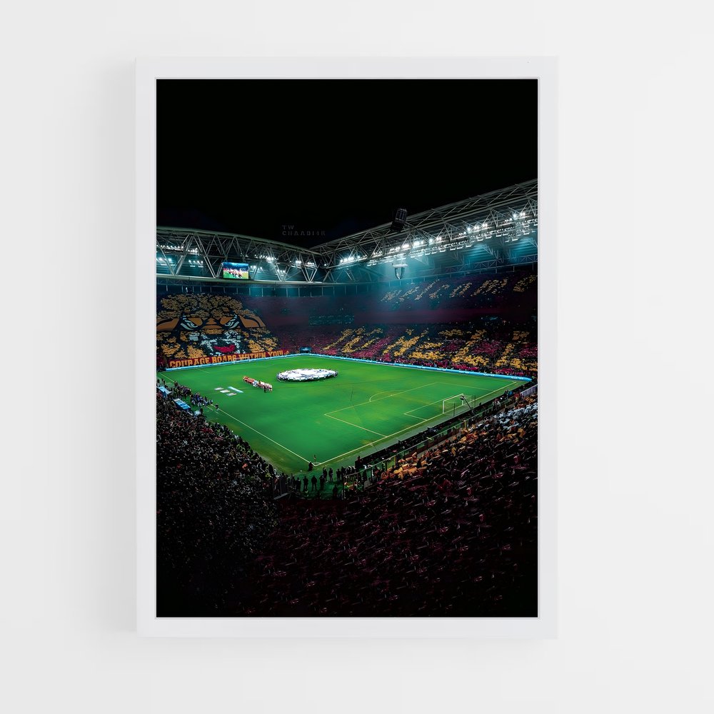 Poster Stade Galatasaray – affiche Football (vue 3)