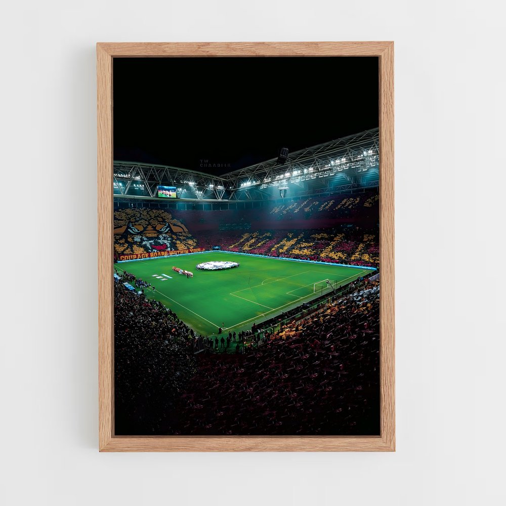 Poster Stade Galatasaray – affiche Football (vue 4)