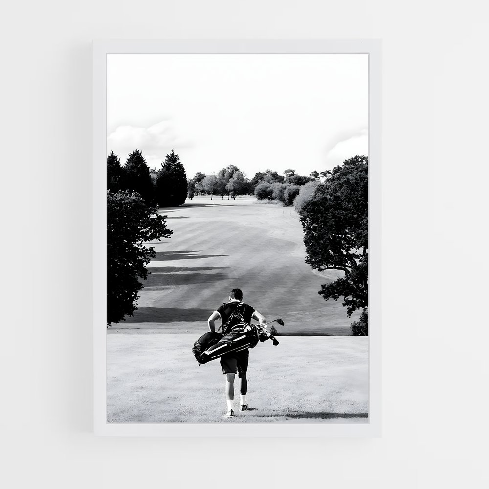 Poster Pitch Golf (vue 3)