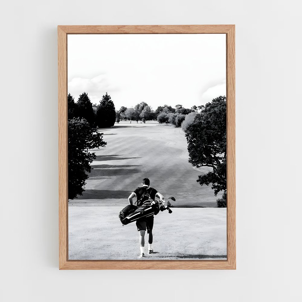 Poster Pitch Golf (vue 4)