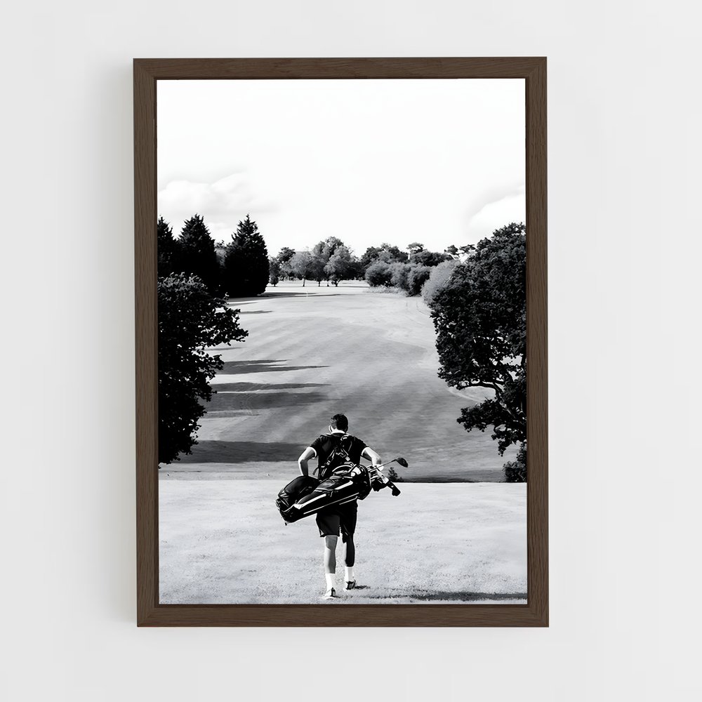 Poster Pitch Golf (vue 5)