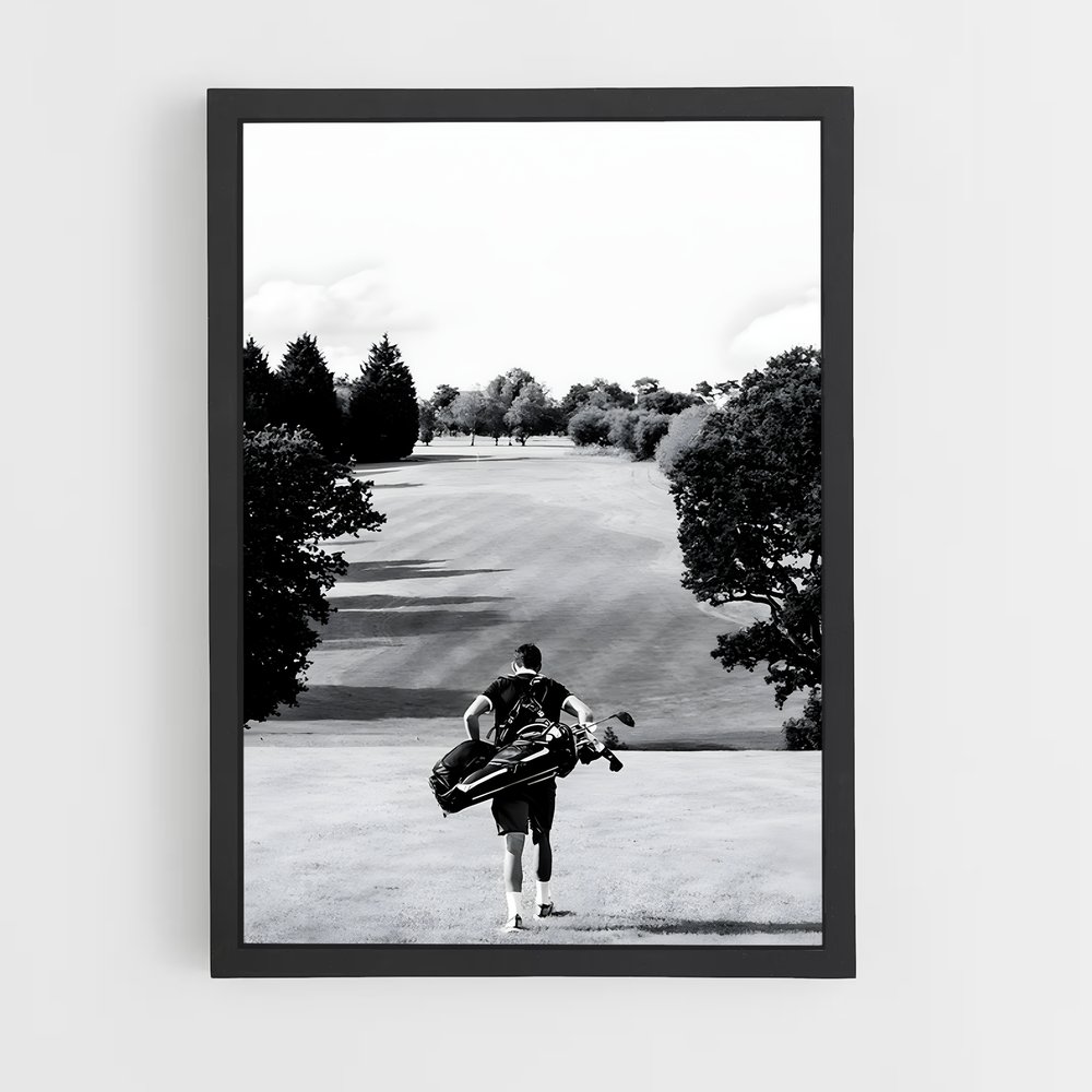 Poster Pitch Golf (vue 2)