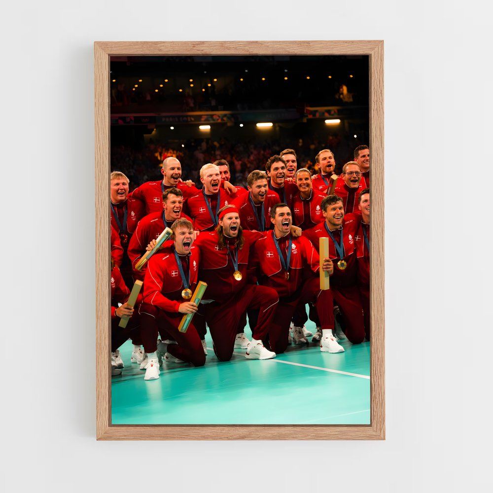 Poster Victoire Handball (vue 4)