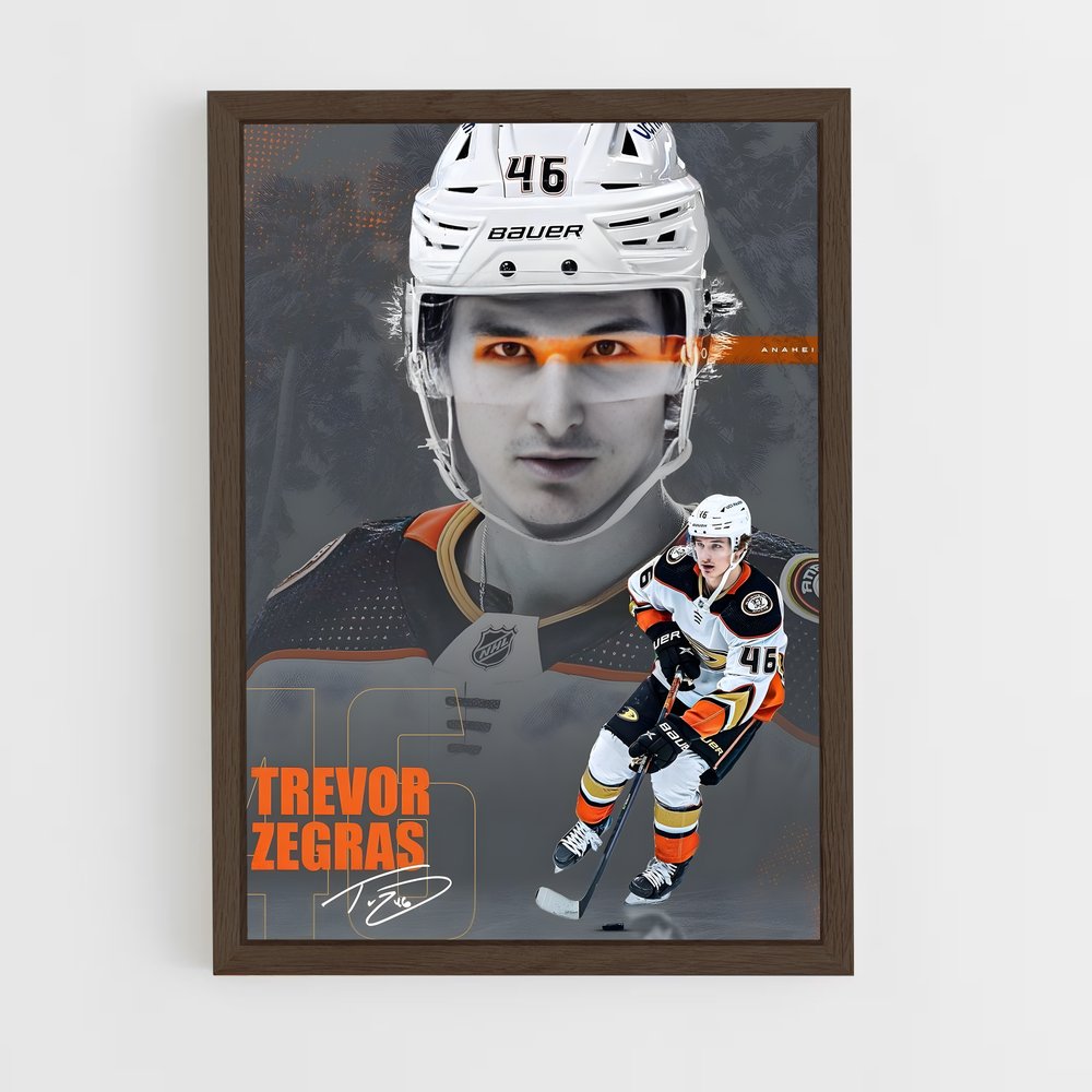 Poster Hockey sur Glace (vue 5)