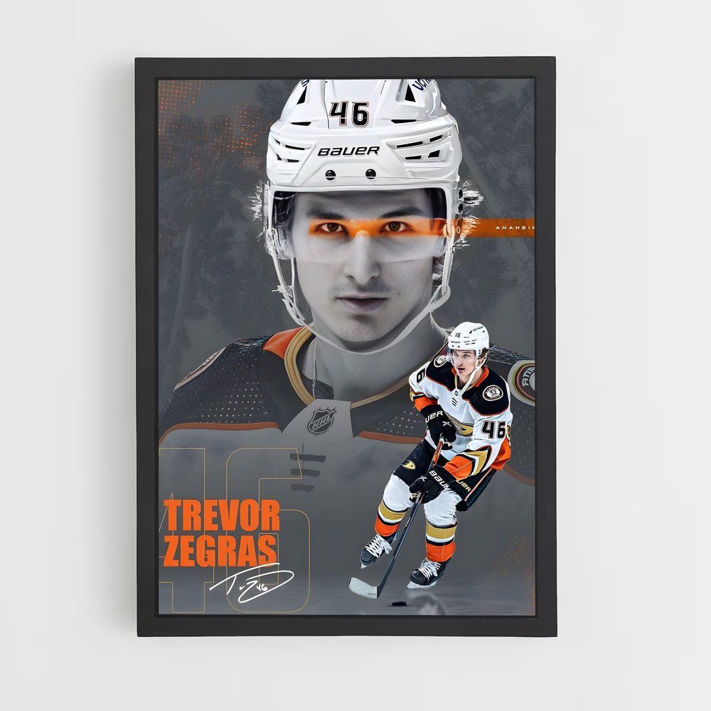 Poster Hockey sur Glace (vue 2)
