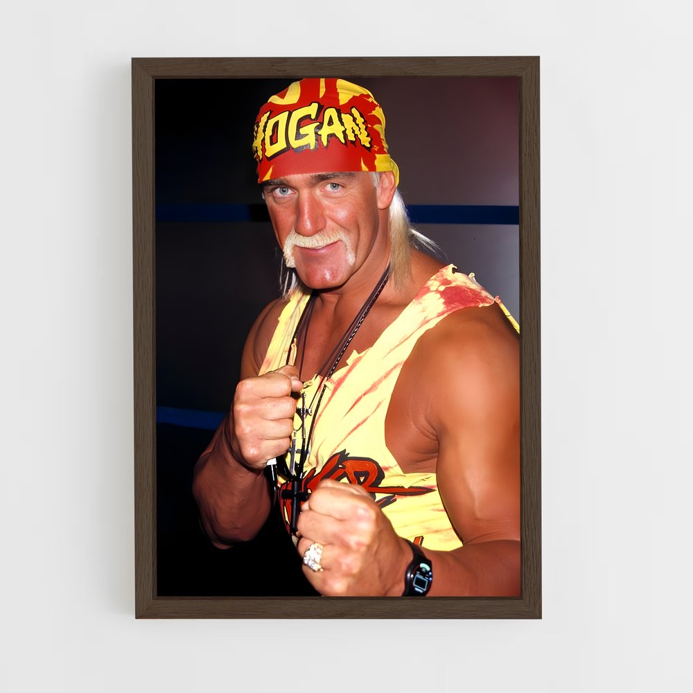 Poster Hogan (vue 5)