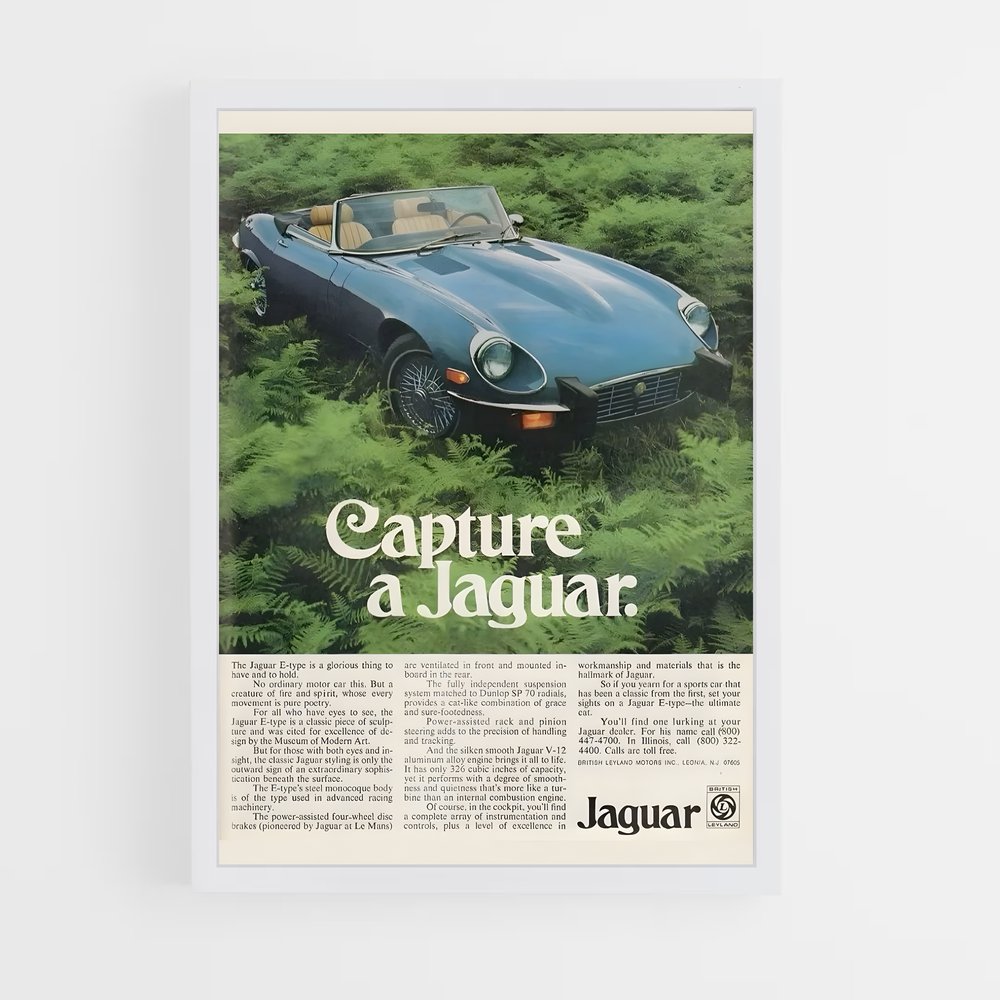 Poster Capture de Jaguar (vue 3)