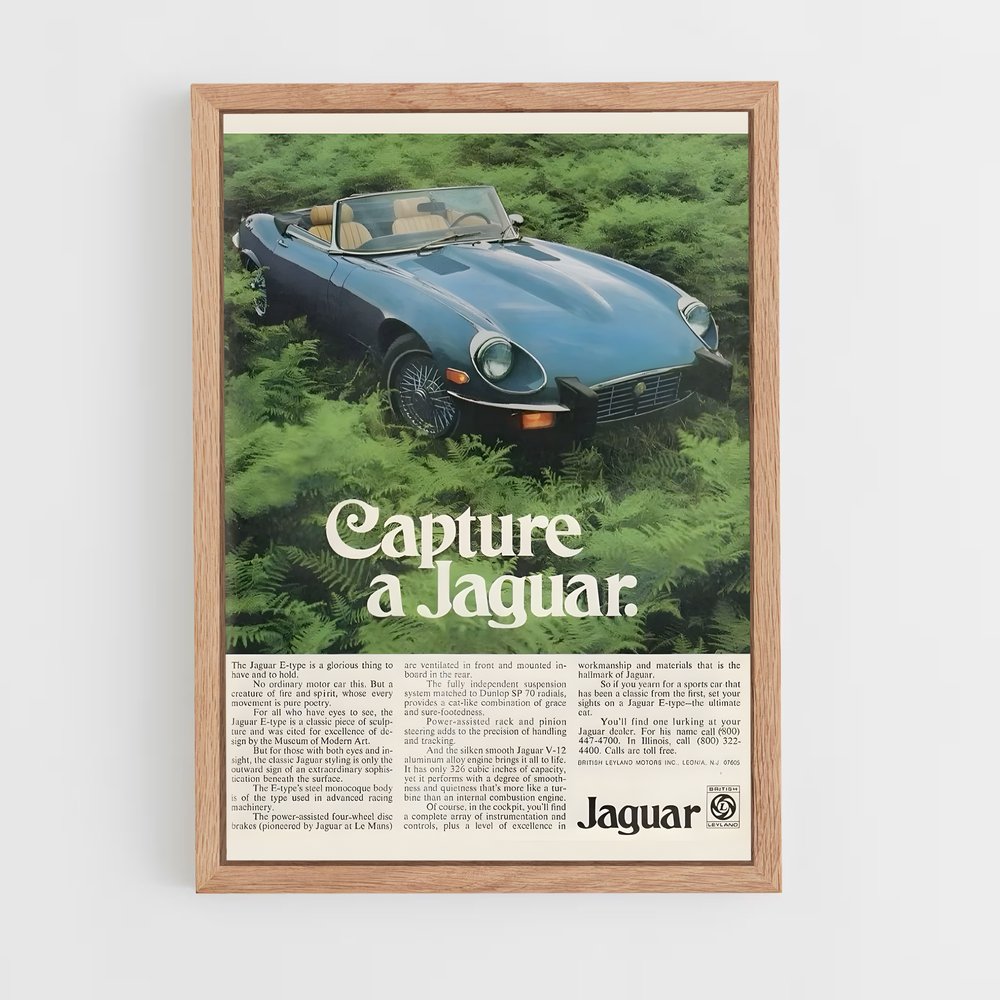 Poster Capture de Jaguar (vue 4)