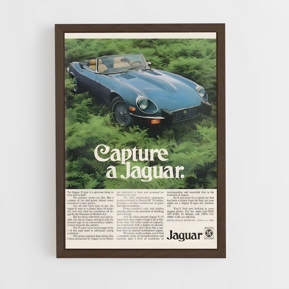 Poster Capture de Jaguar (vue 5)