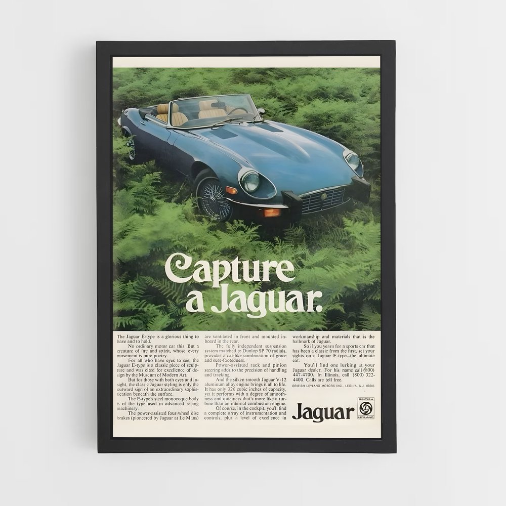 Poster Capture de Jaguar (vue 2)