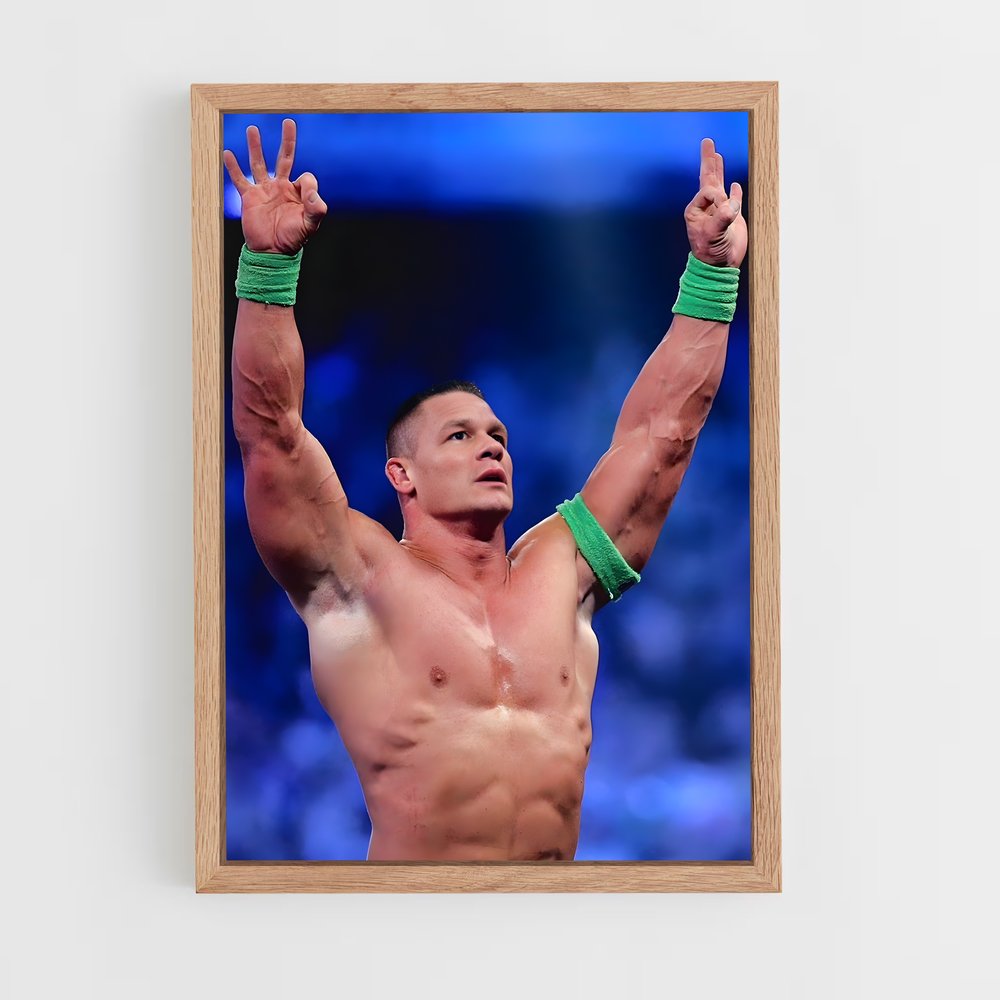 Poster Victoire John Cena (vue 4)
