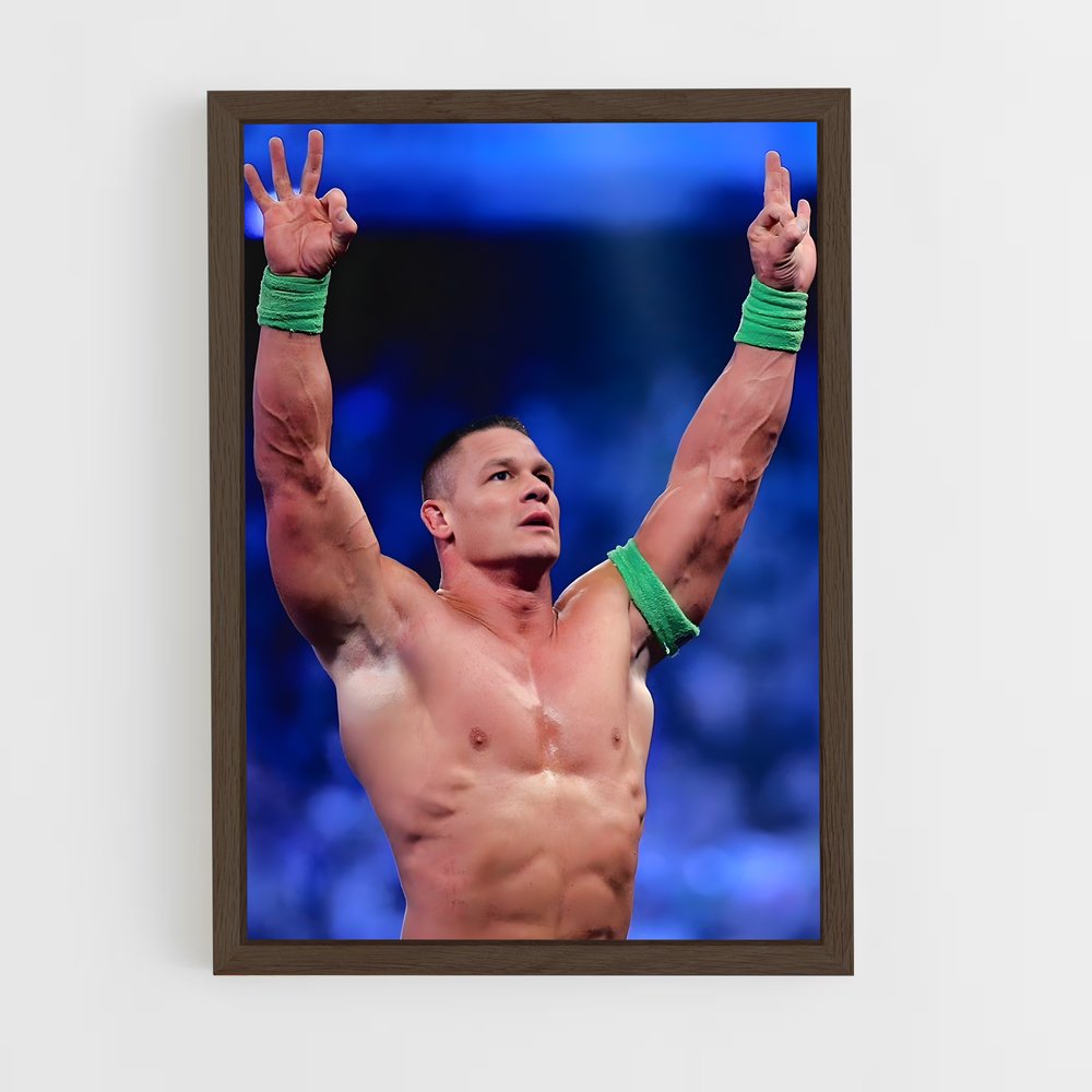 Poster Victoire John Cena (vue 5)
