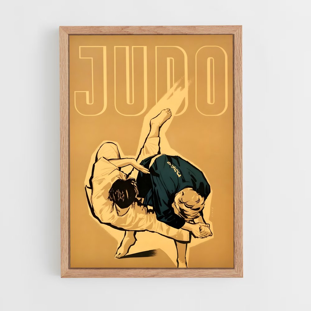 Poster Technique Judo (vue 4)