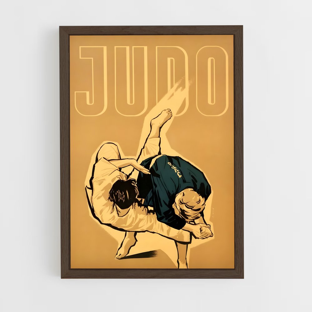 Poster Technique Judo (vue 5)