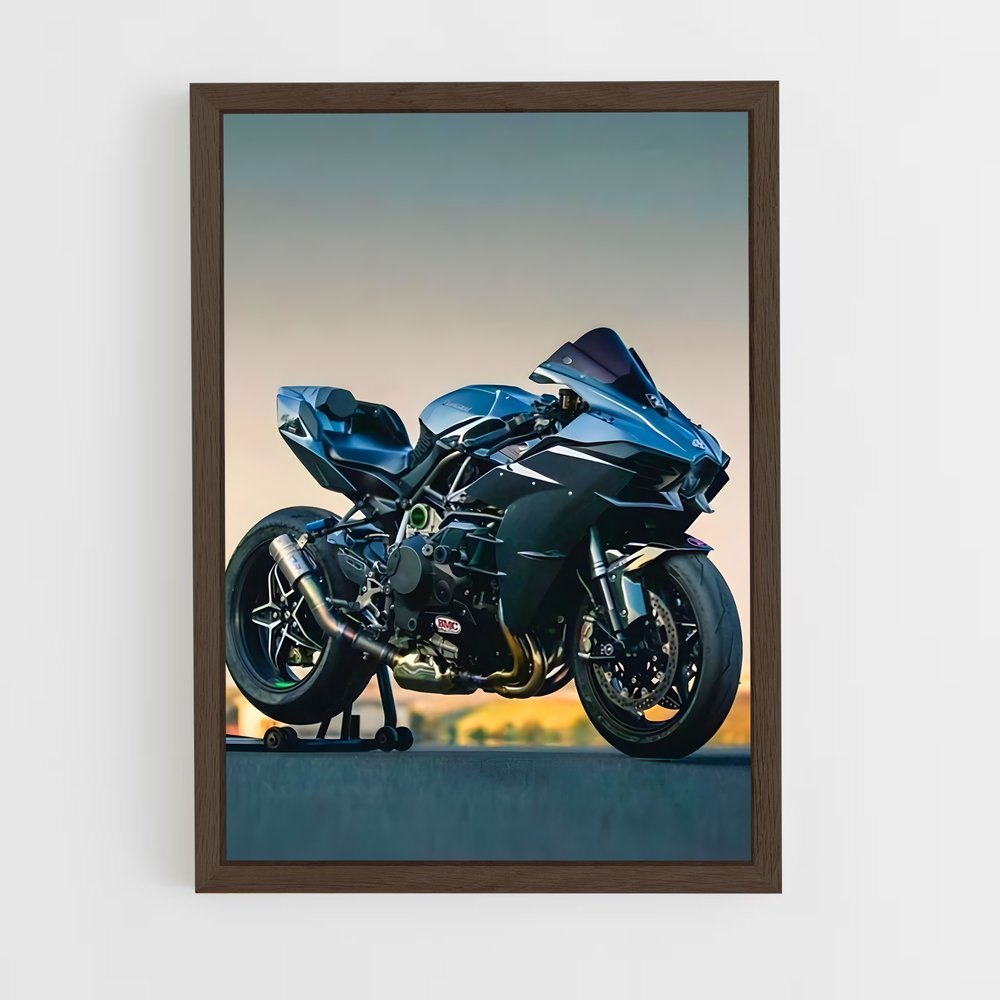 Poster Moto Kawazaki (vue 5)