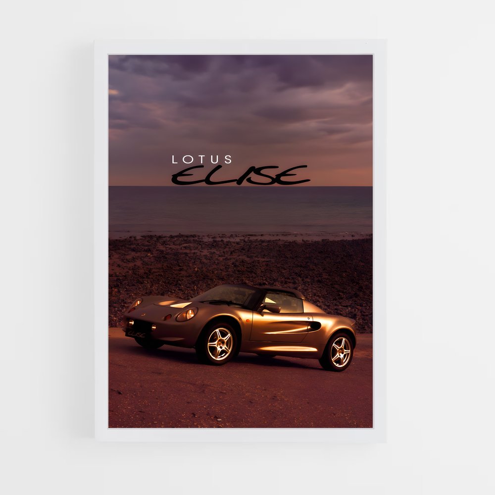 Poster Lotus Sunset Drive (vue 3)