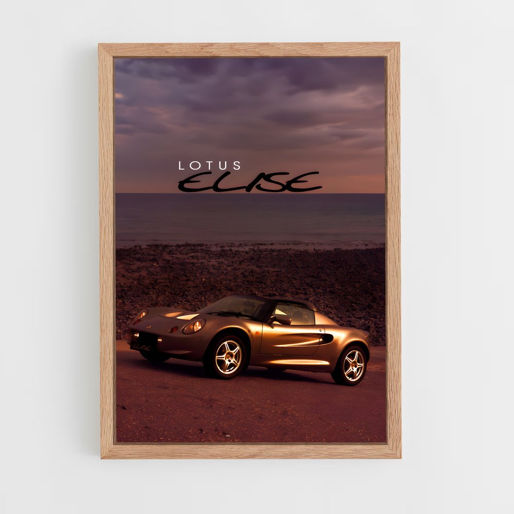 Poster Lotus Sunset Drive (vue 4)
