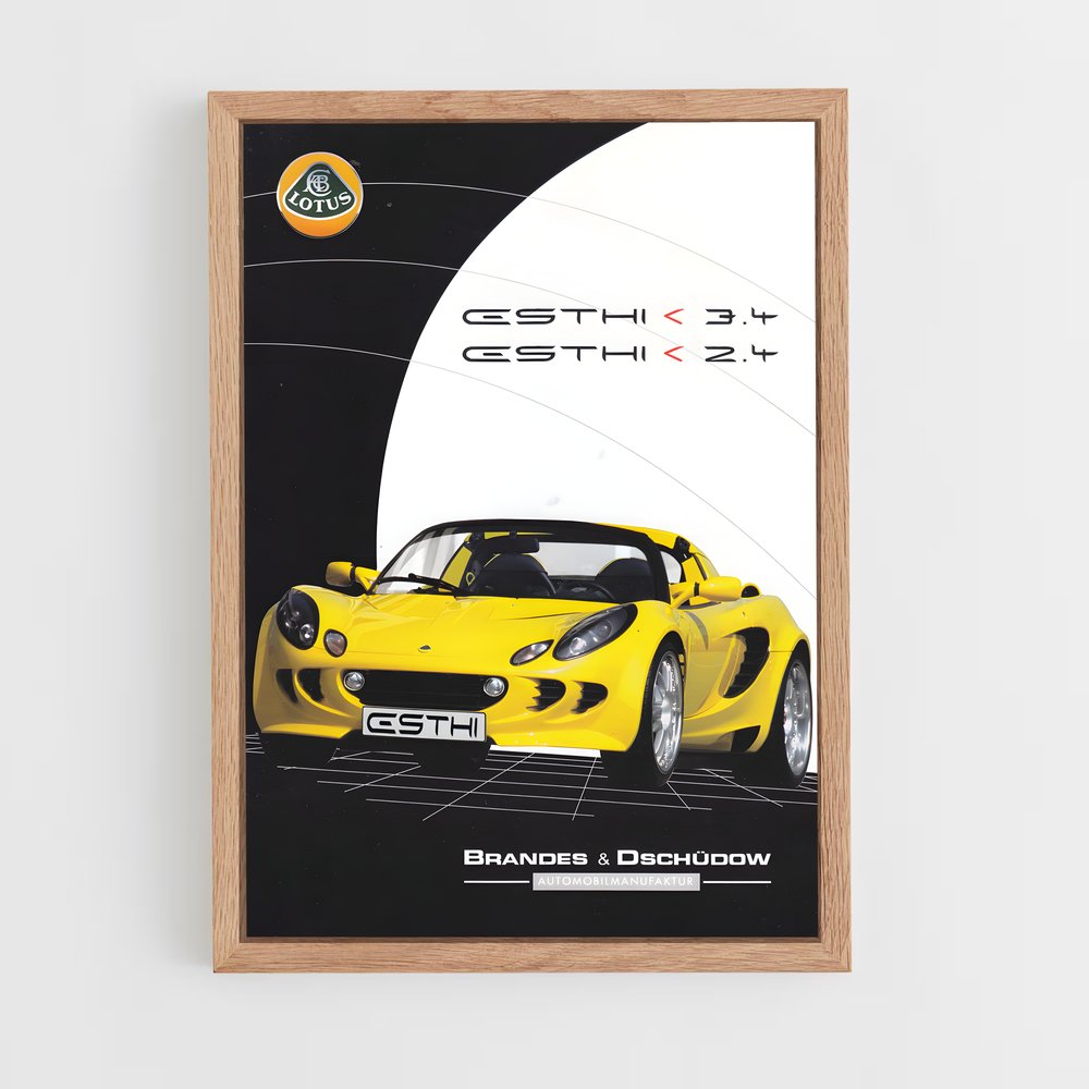 Poster Lotus Éclatant (vue 4)