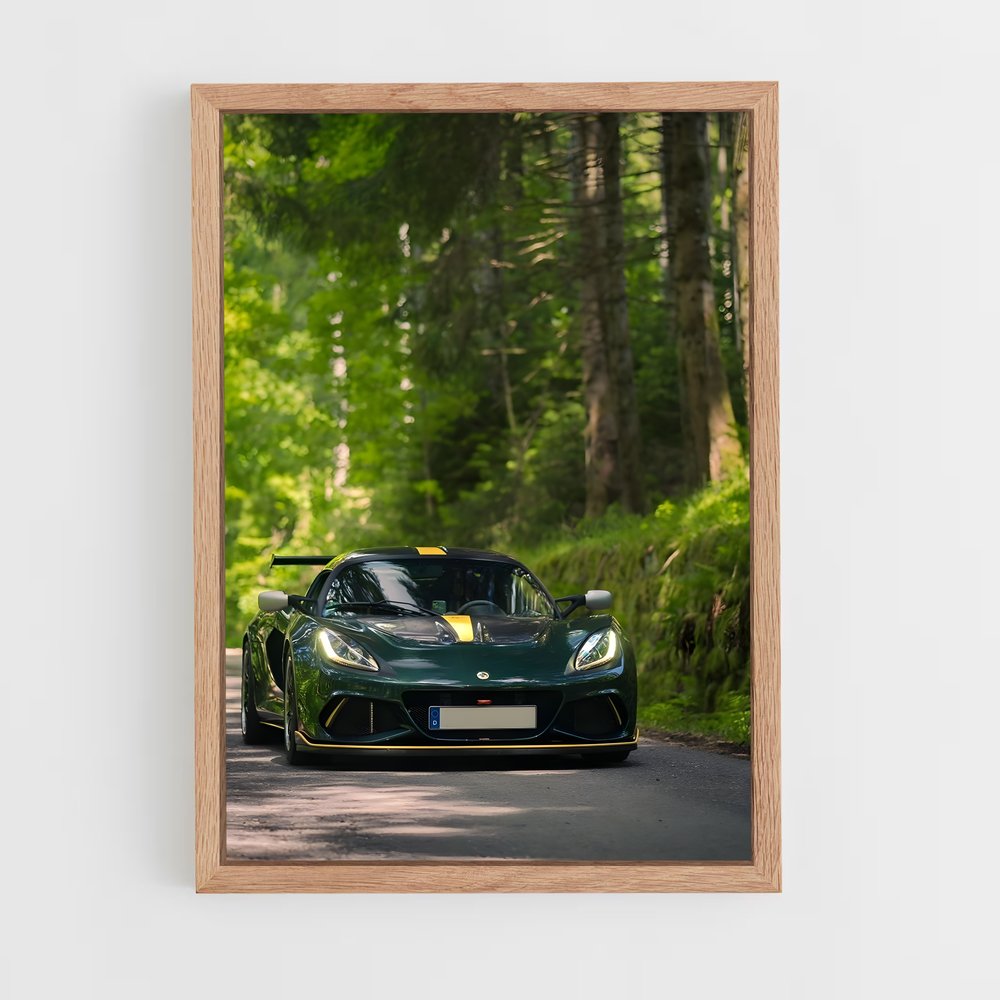 Poster Vitesse et Nature – affiche Lotus (vue 4)