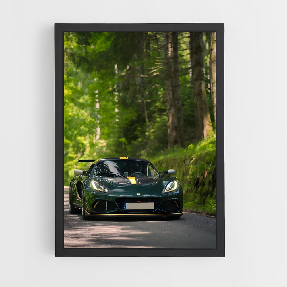 Poster Vitesse et Nature – affiche Lotus (vue 2)