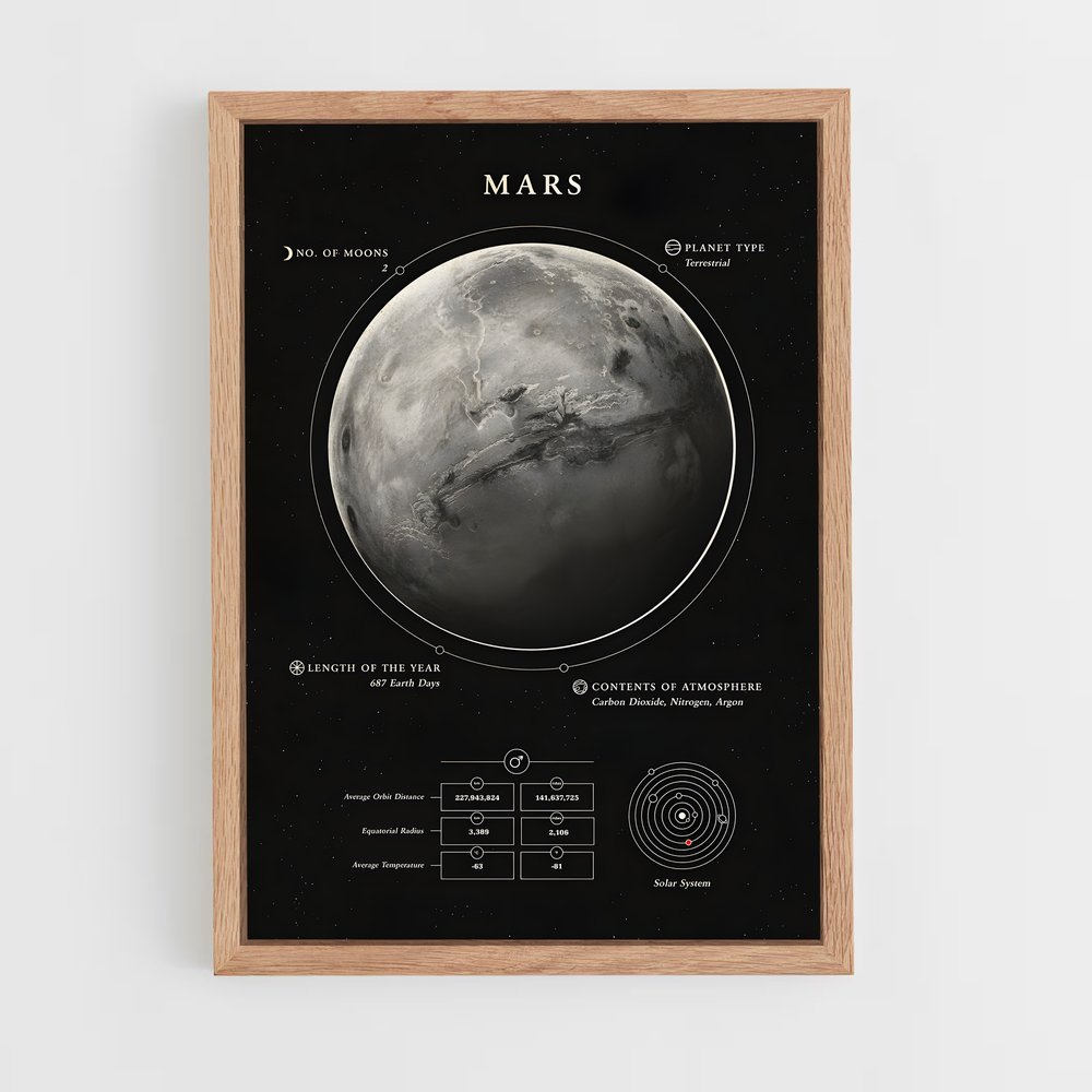 Poster Rêve de Mars (vue 4)