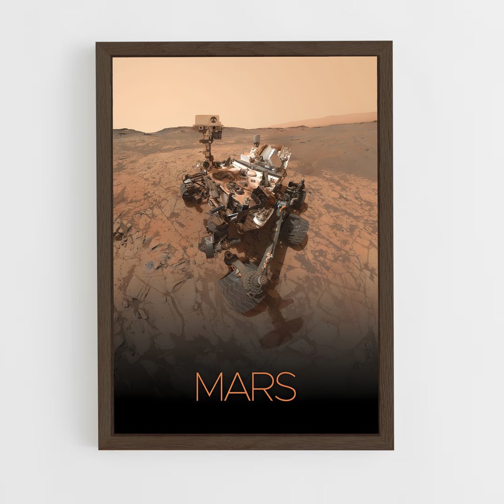 Poster Rover Rouge (vue 5)