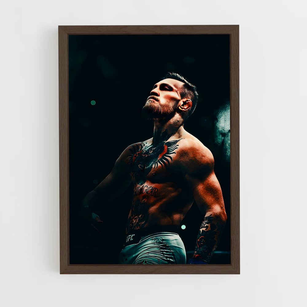 Poster Mcgregor Pause – affiche MMA (vue 5)