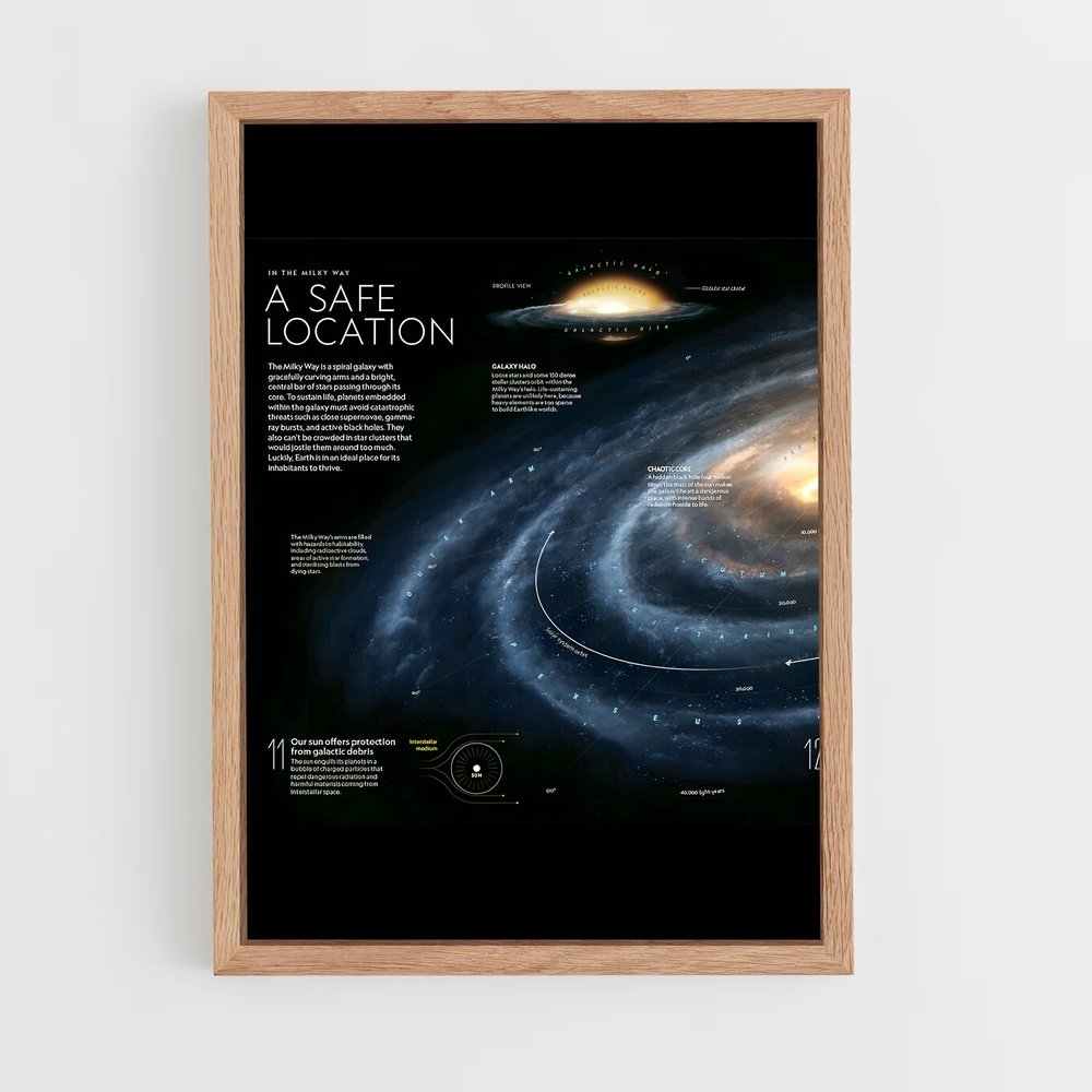 Poster La Voie Sûre (vue 4)
