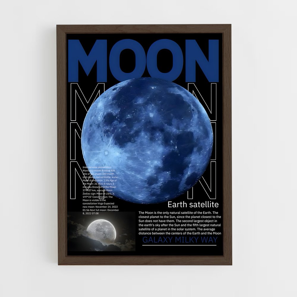 Poster Lunar Radiance (vue 5)