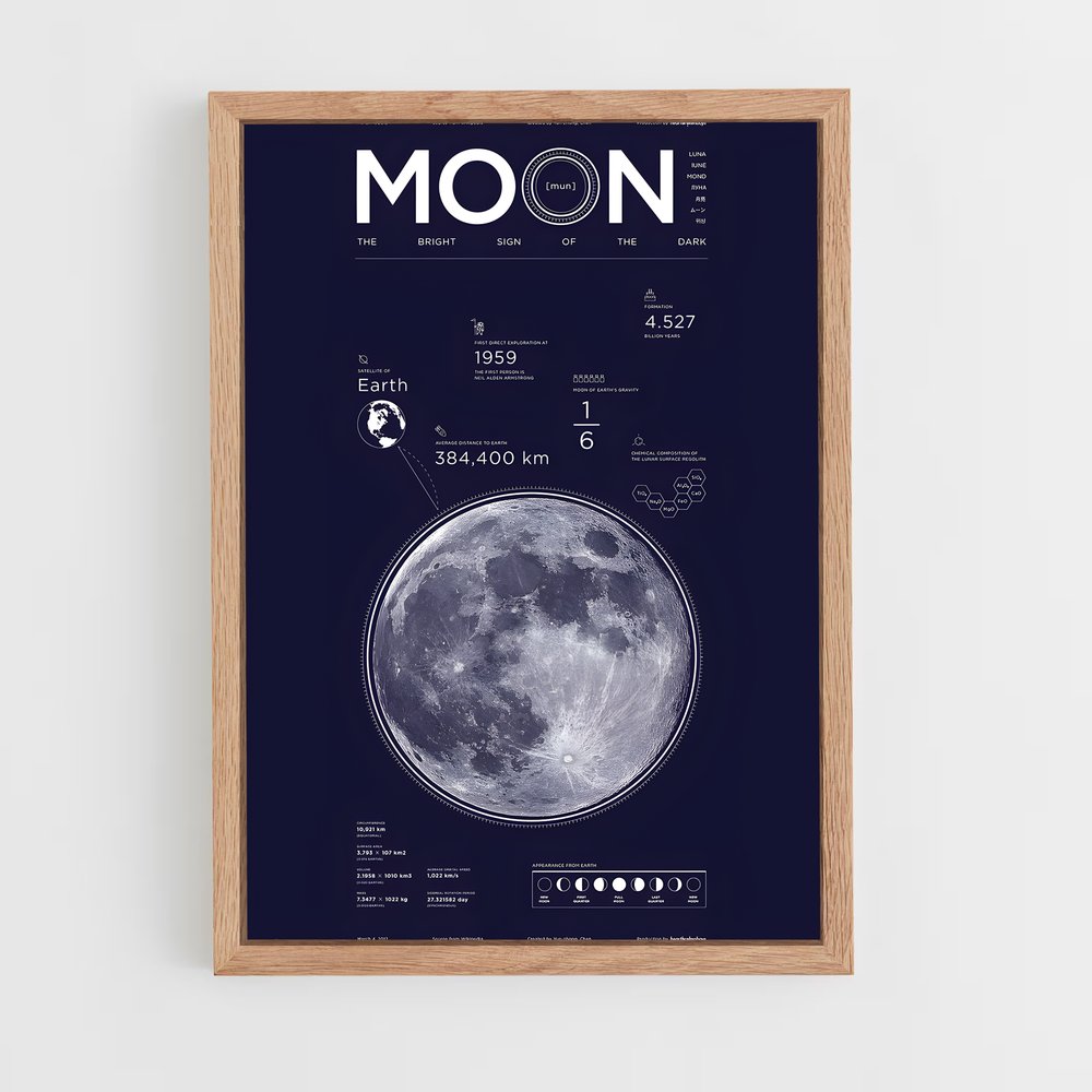 Poster Lunaire 1959 (vue 4)