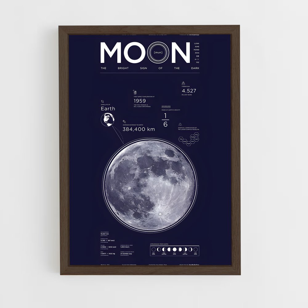 Poster Lunaire 1959 (vue 5)