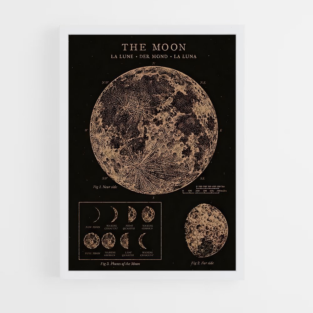 Poster Carte Lunaire Vintage (vue 3)