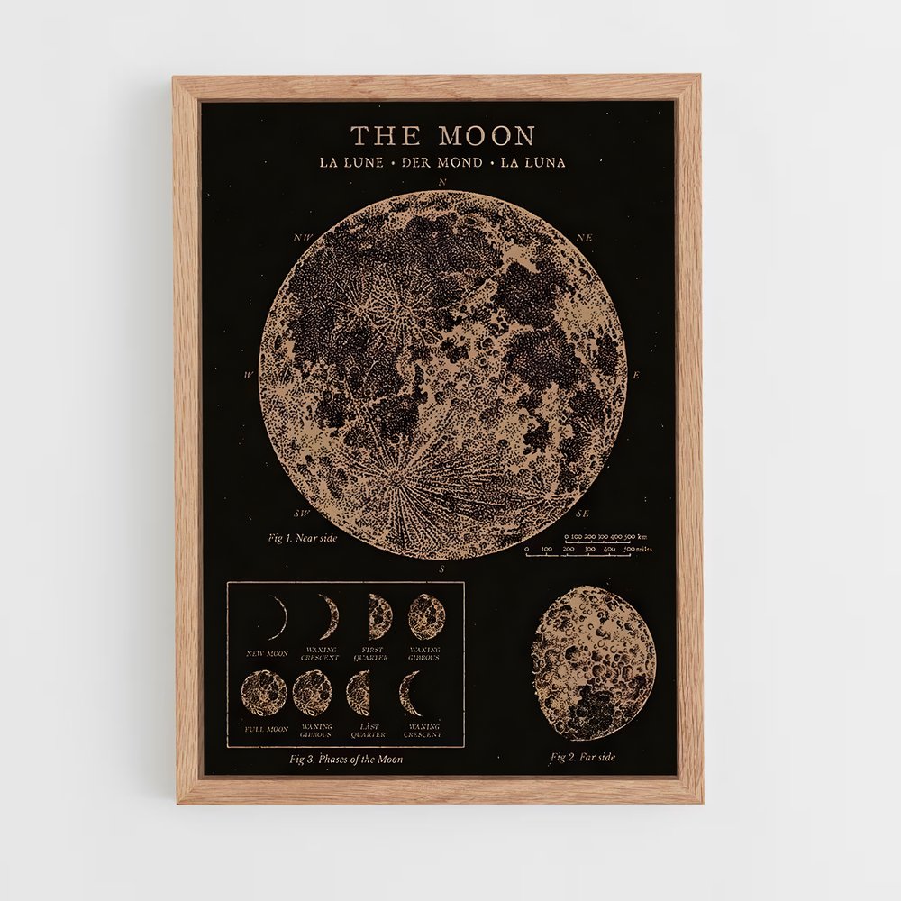 Poster Carte Lunaire Vintage (vue 4)