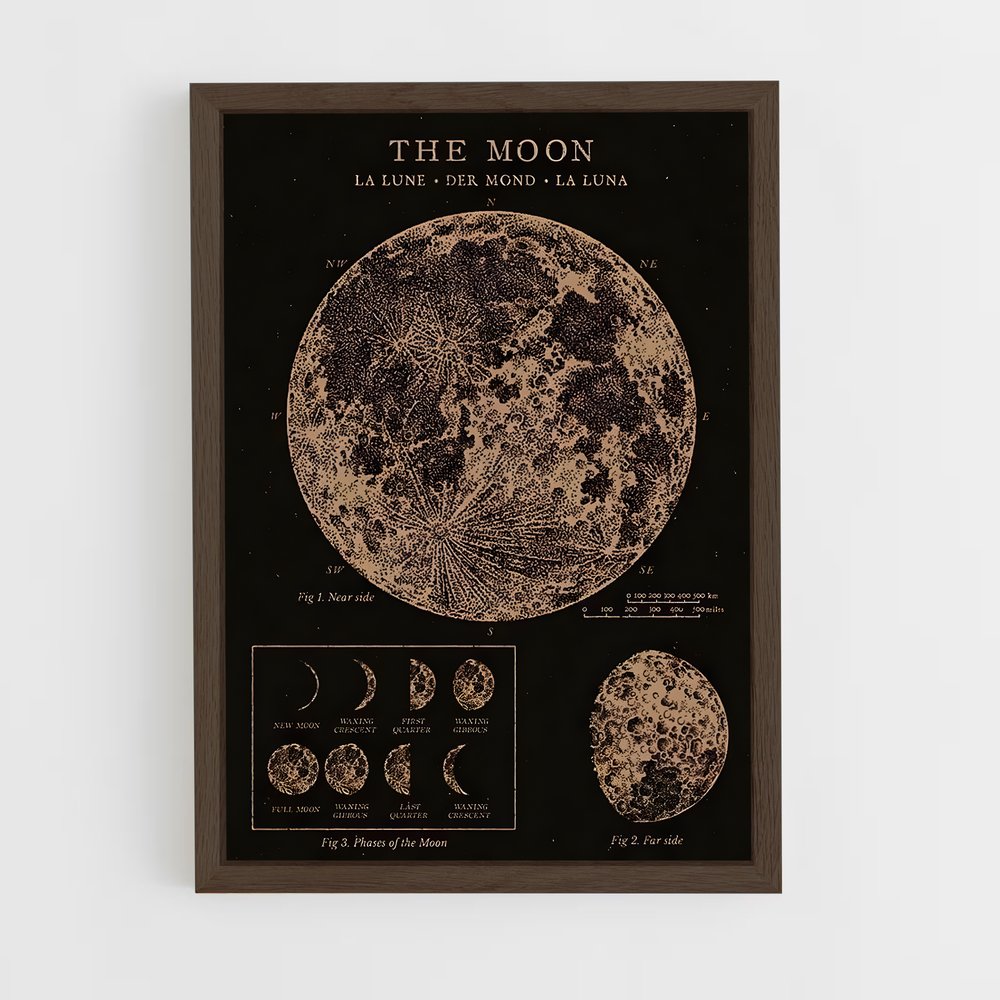 Poster Carte Lunaire Vintage (vue 5)