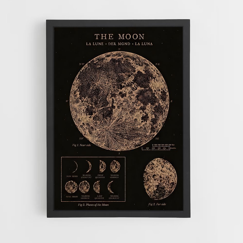 Poster Carte Lunaire Vintage (vue 2)
