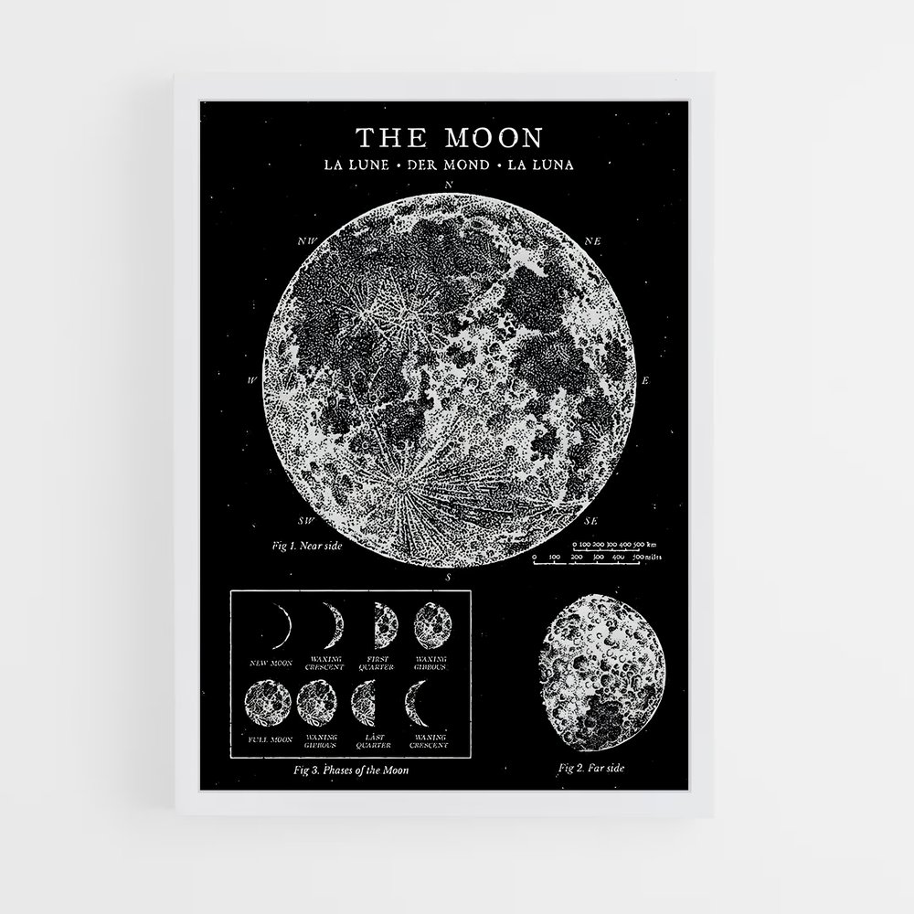 Poster Phases de la Lune (vue 3)