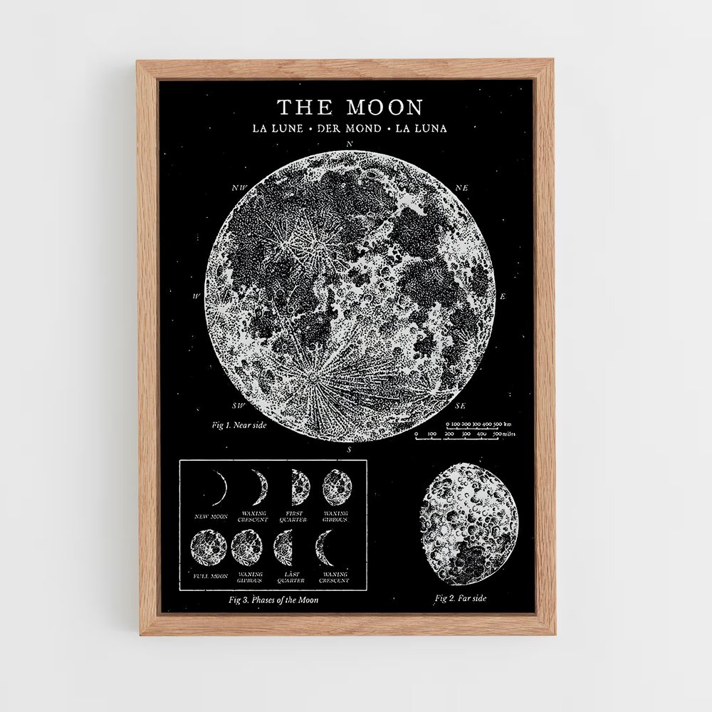 Poster Phases de la Lune (vue 4)