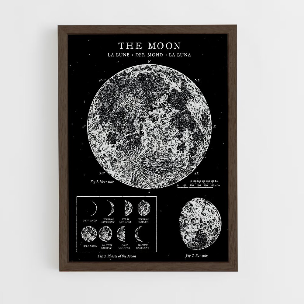 Poster Phases de la Lune (vue 5)