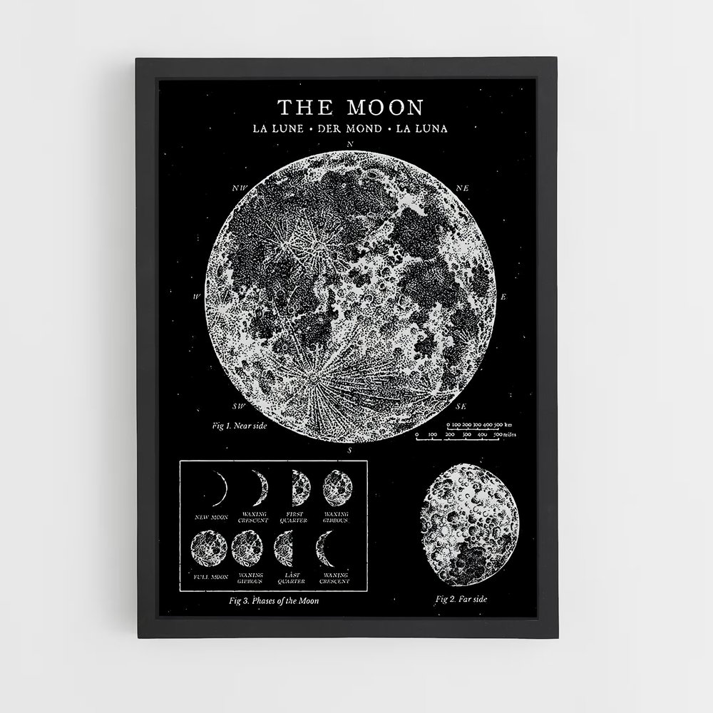 Poster Phases de la Lune (vue 2)