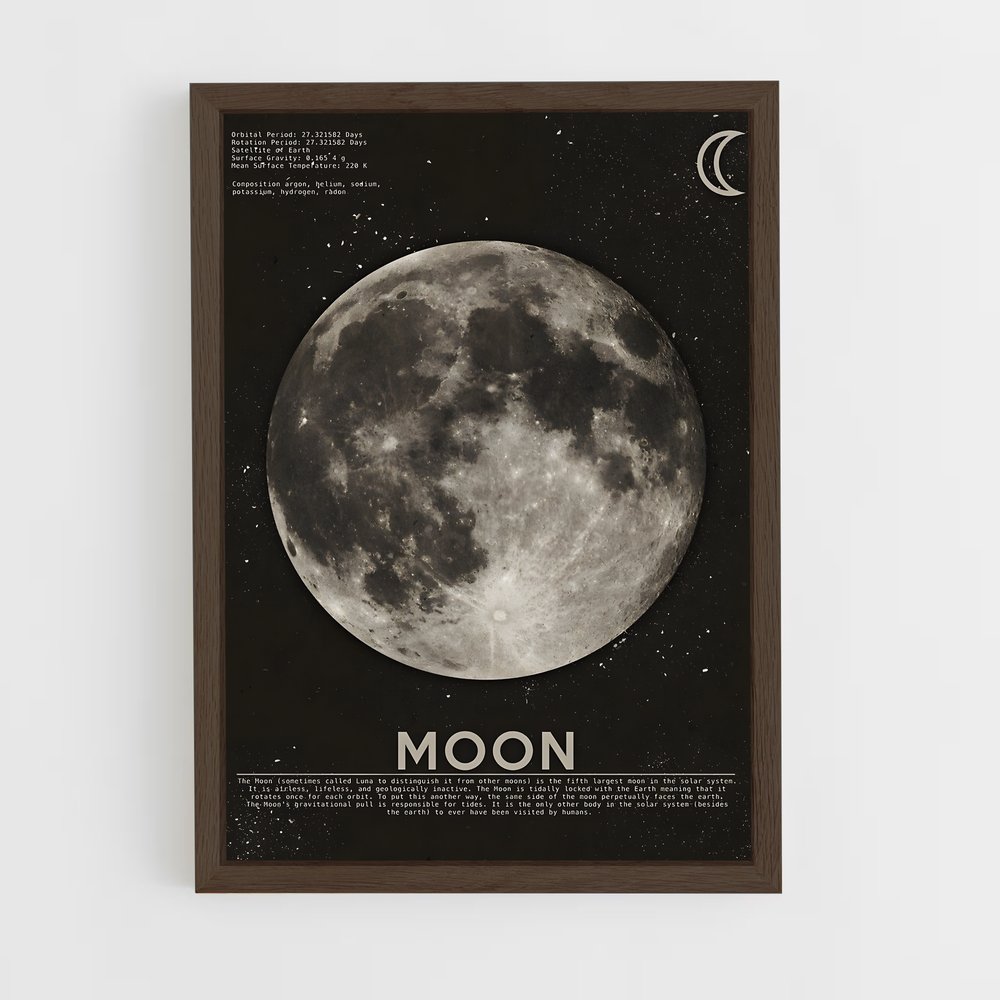 Poster Lune Sombre (vue 5)
