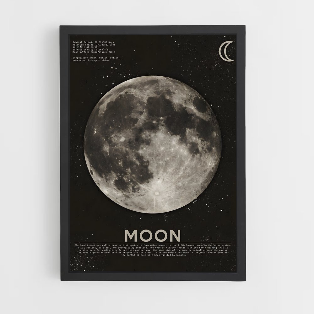 Poster Lune Sombre (vue 2)