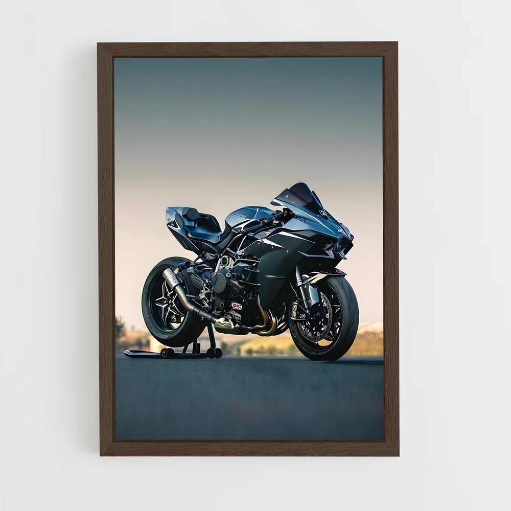 Poster Kawazaki Ninja H2 (vue 5)